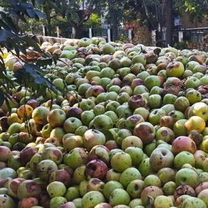 礼泉县爆料新闻最新情况,突发事件引发社会关注